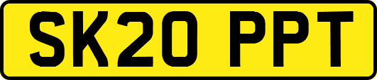 SK20PPT