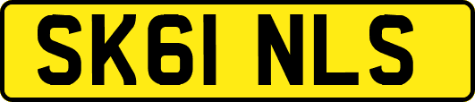 SK61NLS