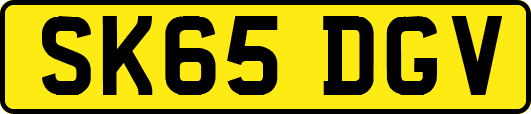 SK65DGV