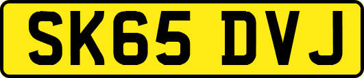 SK65DVJ