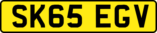 SK65EGV