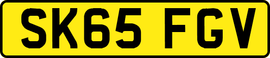 SK65FGV