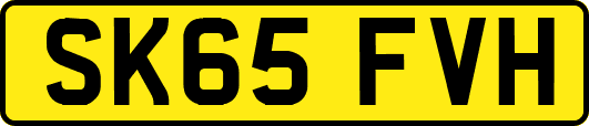 SK65FVH
