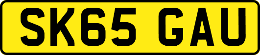 SK65GAU