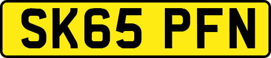 SK65PFN