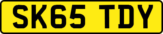 SK65TDY