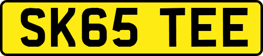 SK65TEE