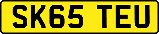 SK65TEU