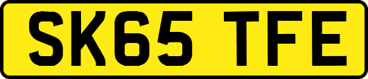 SK65TFE