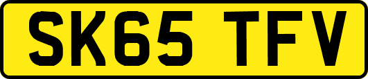 SK65TFV