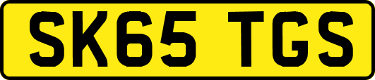 SK65TGS