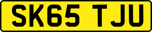 SK65TJU