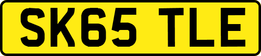 SK65TLE