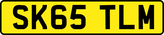 SK65TLM