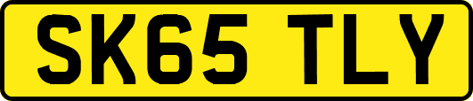 SK65TLY