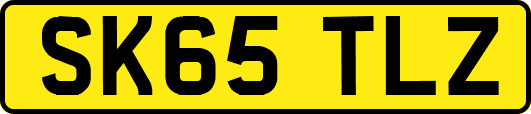 SK65TLZ