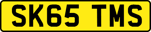 SK65TMS