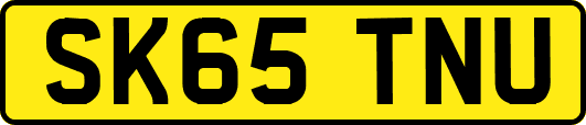 SK65TNU