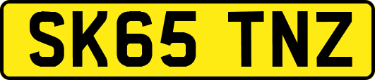 SK65TNZ