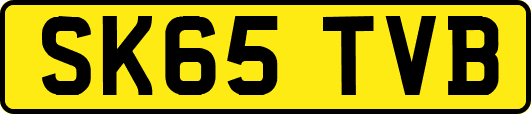 SK65TVB