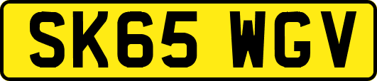 SK65WGV