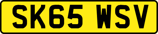 SK65WSV