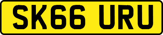 SK66URU