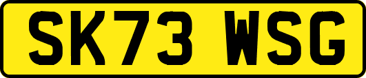 SK73WSG