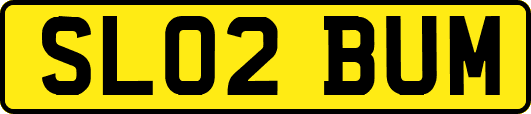 SL02BUM