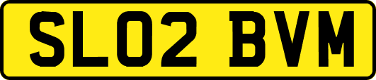 SL02BVM