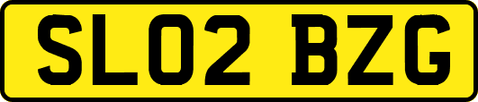 SL02BZG