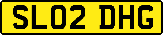 SL02DHG