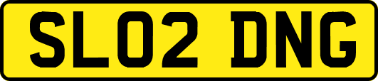 SL02DNG