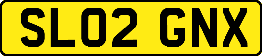 SL02GNX