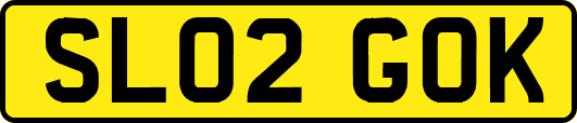 SL02GOK