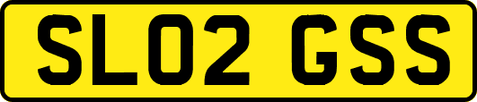 SL02GSS