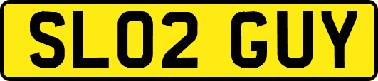 SL02GUY