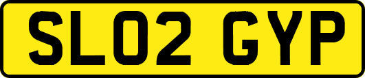 SL02GYP