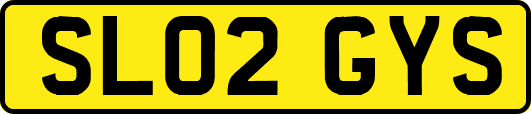 SL02GYS