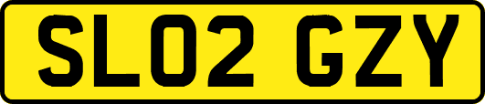 SL02GZY