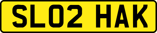 SL02HAK