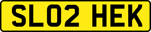 SL02HEK