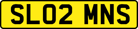 SL02MNS