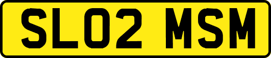 SL02MSM