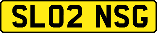 SL02NSG
