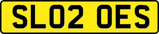 SL02OES