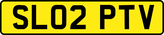 SL02PTV