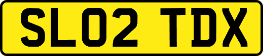 SL02TDX