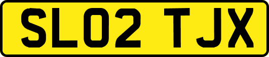SL02TJX