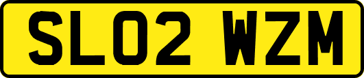 SL02WZM